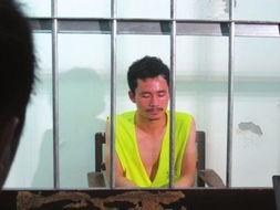 周禄宝最新新闻爆料,揭秘事件背后惊人真相